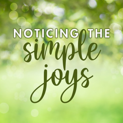 Simple Joy blog thumbnail image v3