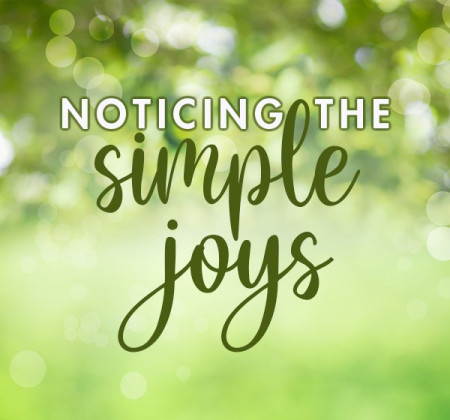 Simple Joy blog thumbnail image v3